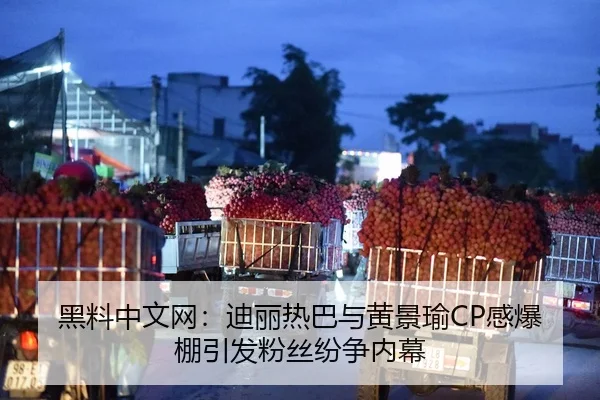 hei-liao-zhong-wen-wang-di-li-re-ba-yu-huang-jing-yu-gan-bao-peng-yin-fa-fen-si-fen-zheng-nei-mu-2-682.jpg